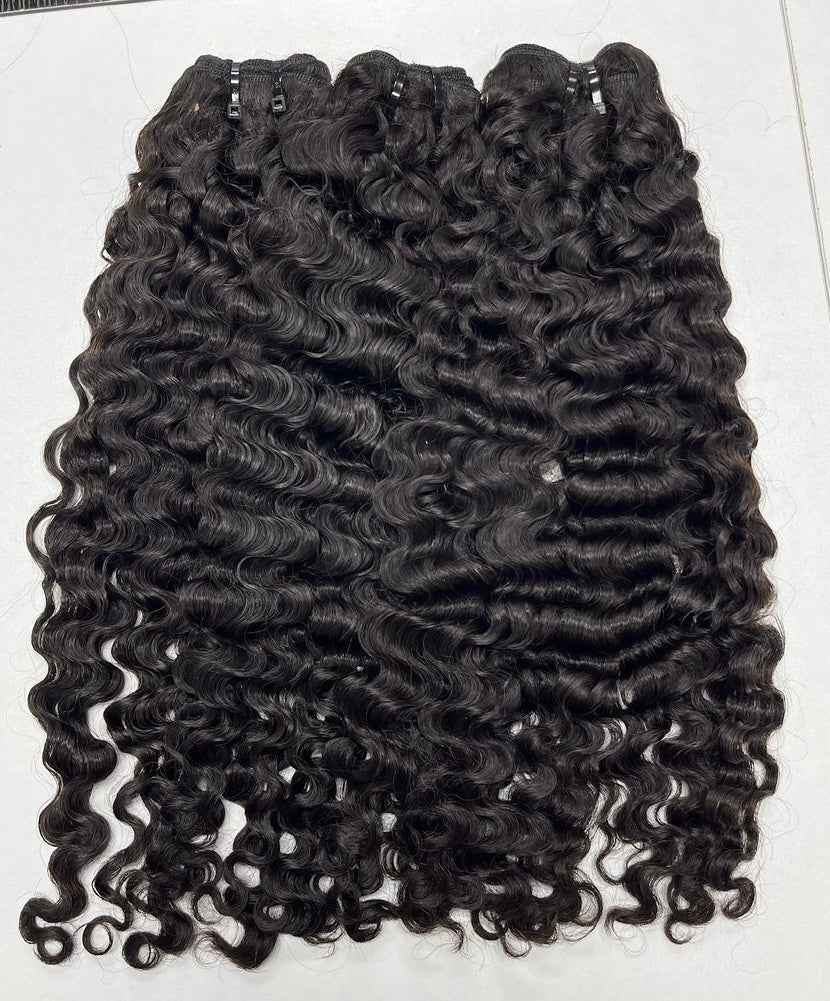 Burmese Curly
